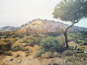 Near Steytlerville 101x76cm Peter Midlane Oil Painting