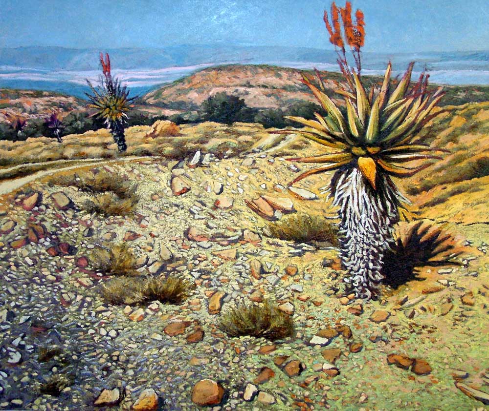 Peter Midlane - Aloes on Woodlands 101cm x 76cm
