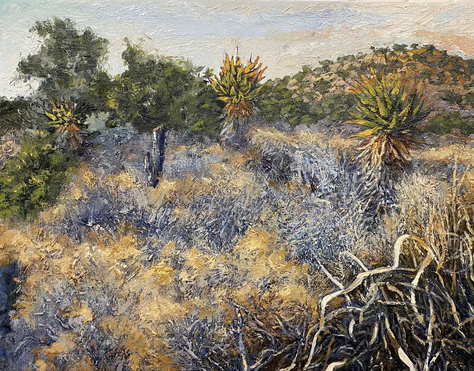 After the Poort - Peter Midlane