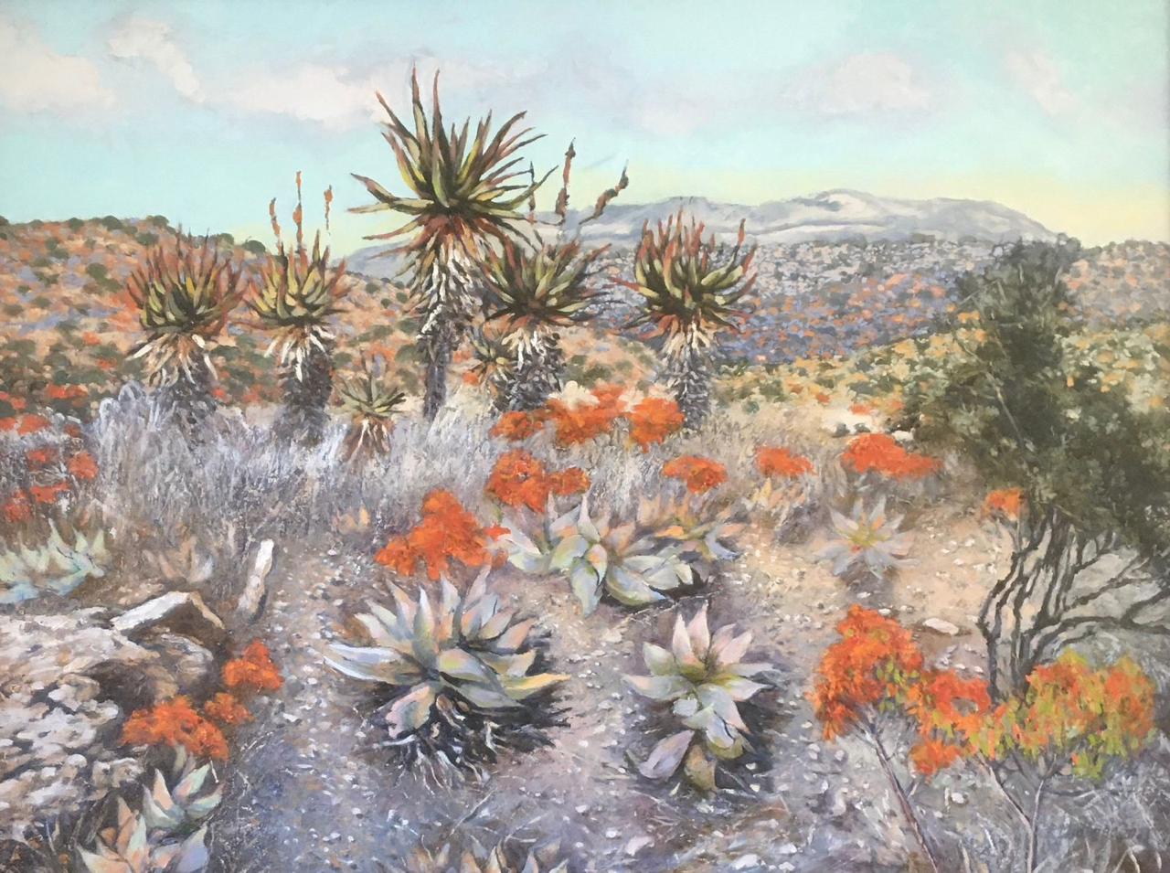 Diskant De Aar - Peter Midlane