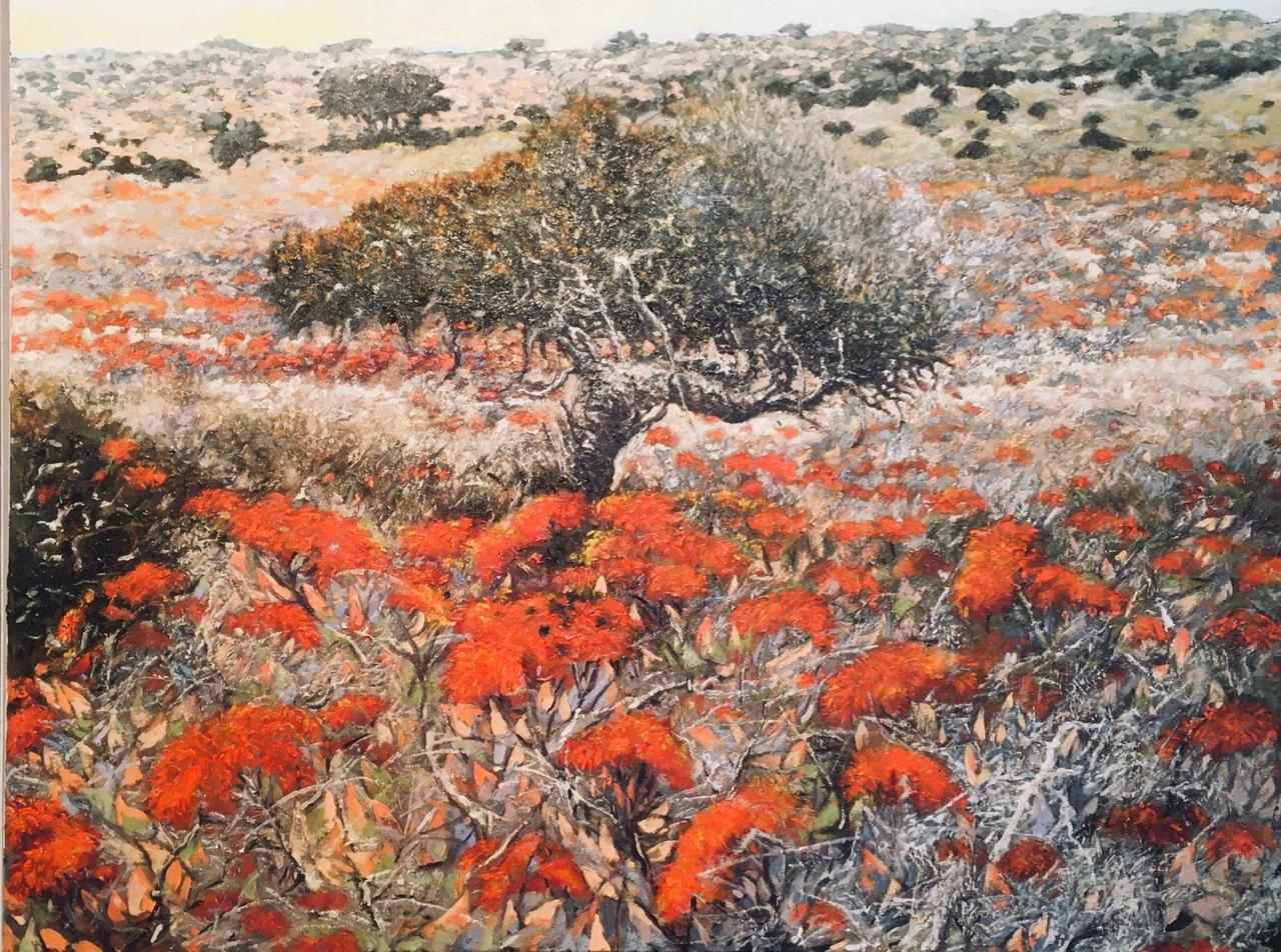 Karoo Spring - Peter Midlane