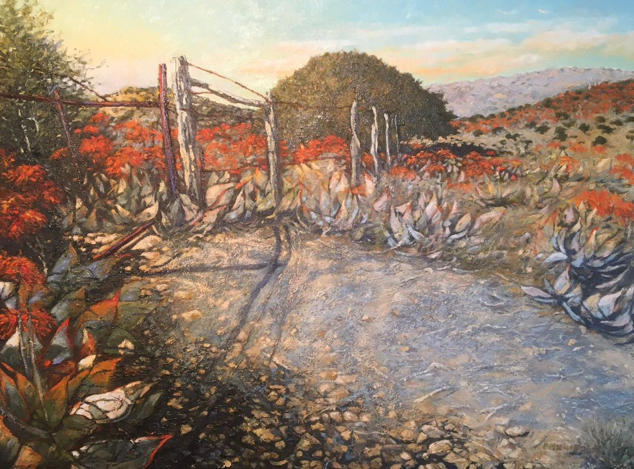 Near Kommadagga 09 - Peter Midlane