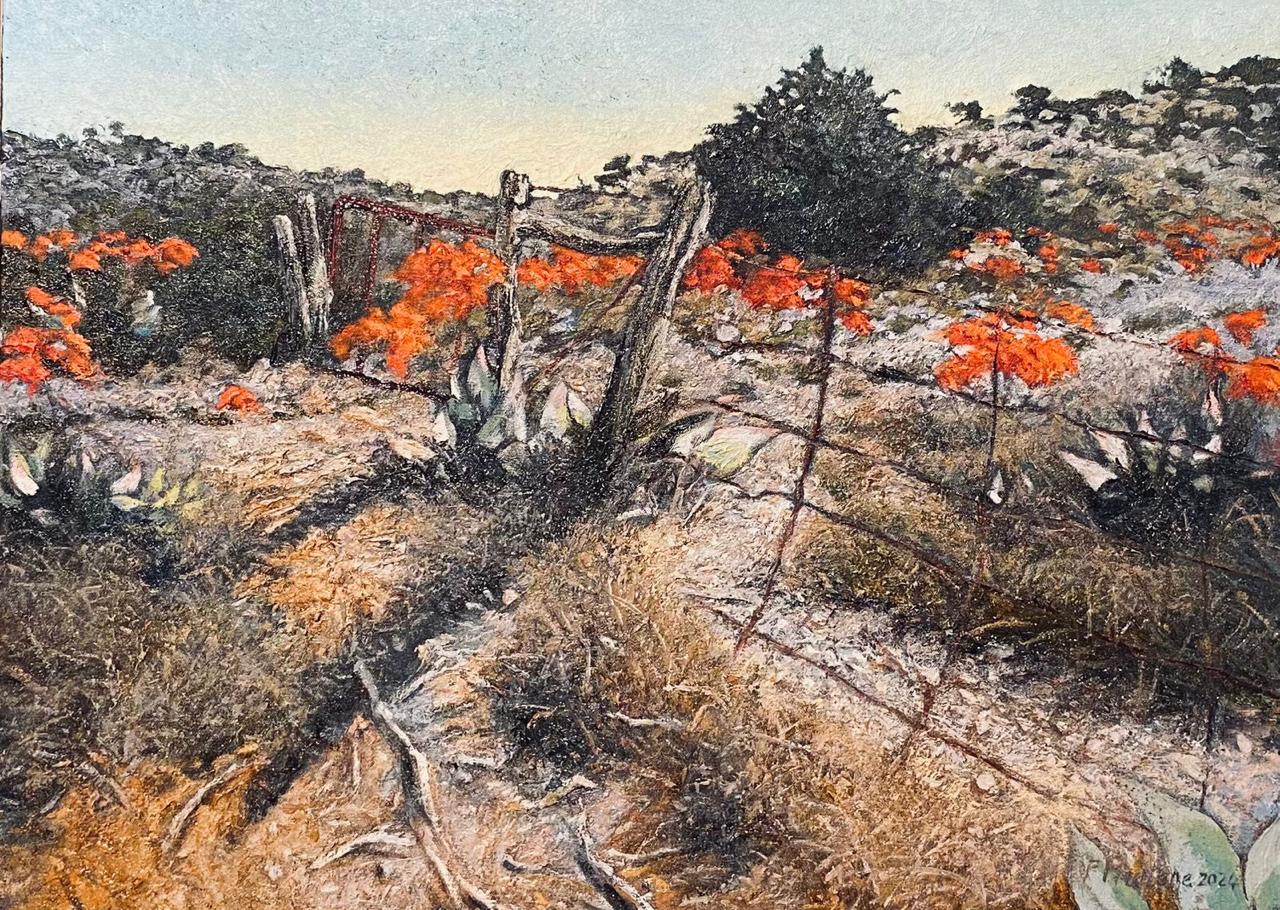 Near Kommadagga - Peter Midlane