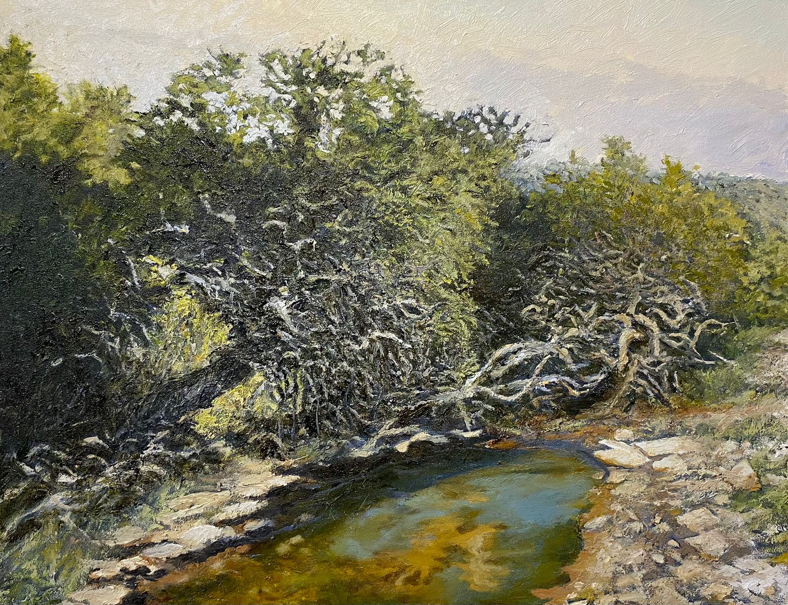 Near Piggott Bridge - Peter Midlane